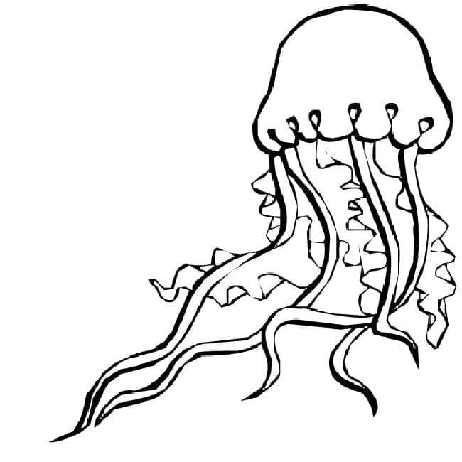 One Jellyfish coloring page