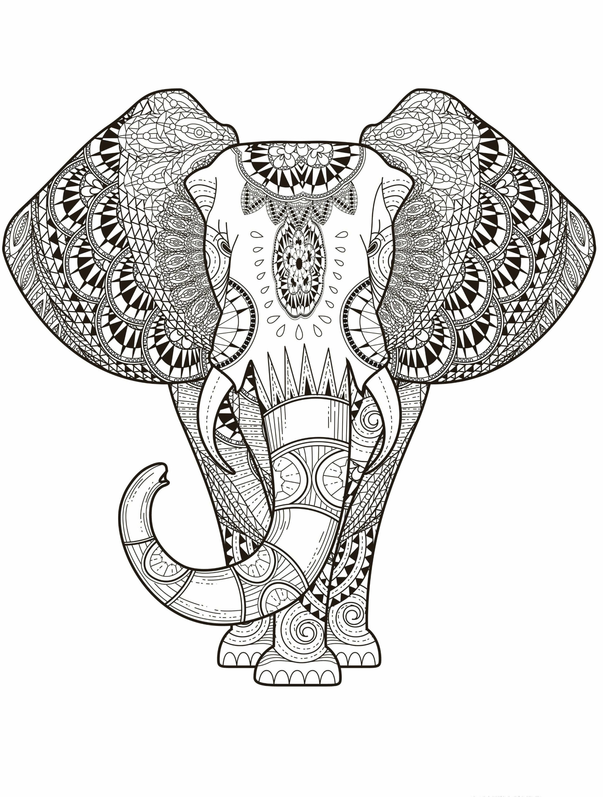 Perfect Elephant Mandala coloring page