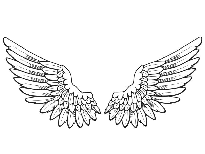 Pretty Angel Wings coloring page