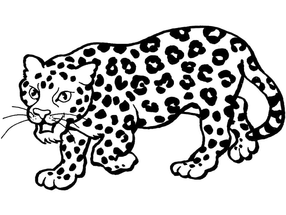 Print Leopard coloring page - Download, Print or Color Online for Free