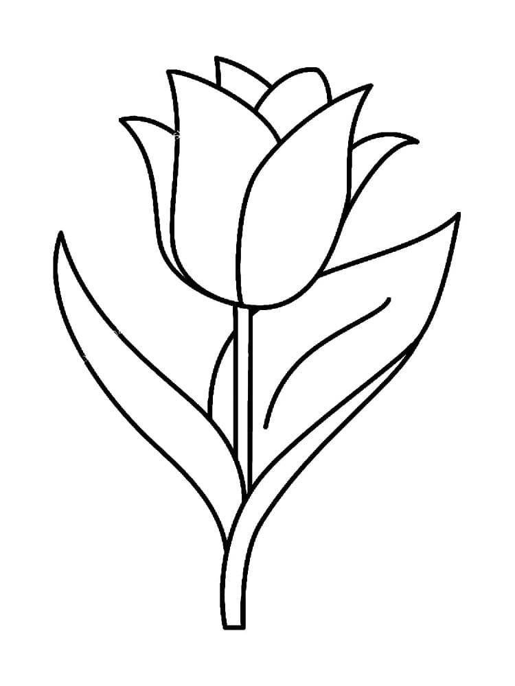 Printable Tulip coloring page - Download, Print or Color Online for Free