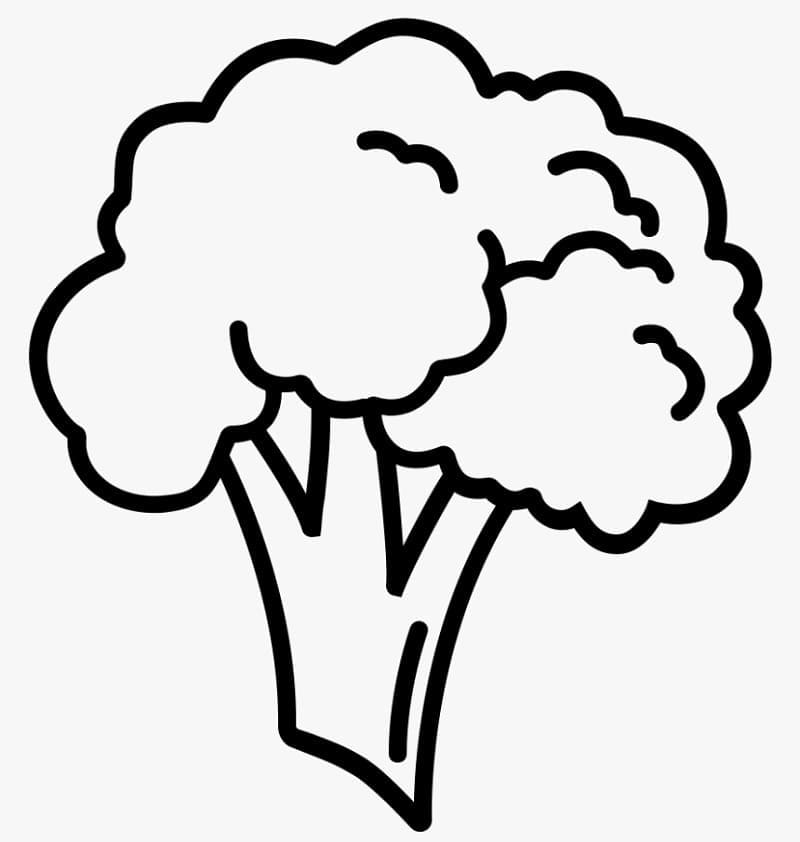 Simple Broccoli coloring page