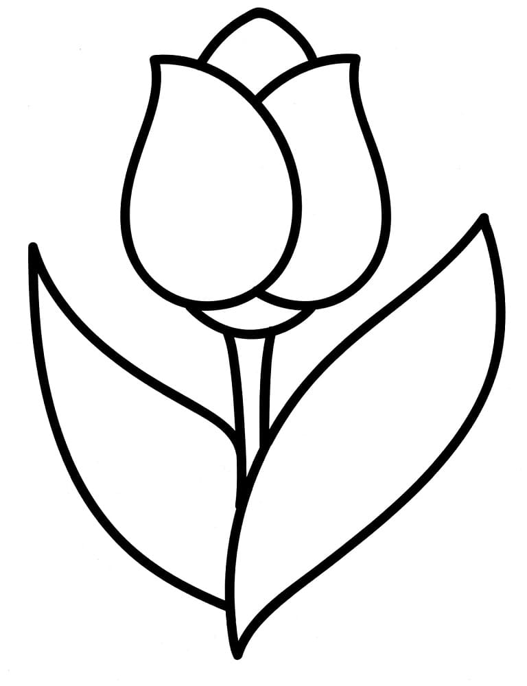 Simple Tulip Flower coloring page