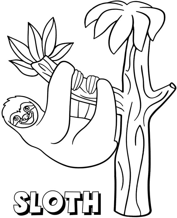 Sloth in the Tree coloring page