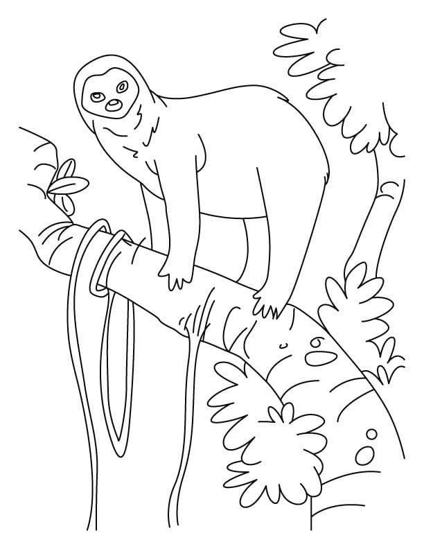 Sloth Printable For Kids coloring page