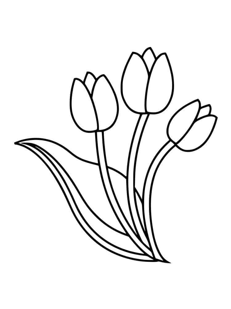 Three Tulips coloring page