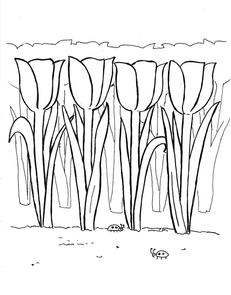 Tulip Garden coloring page