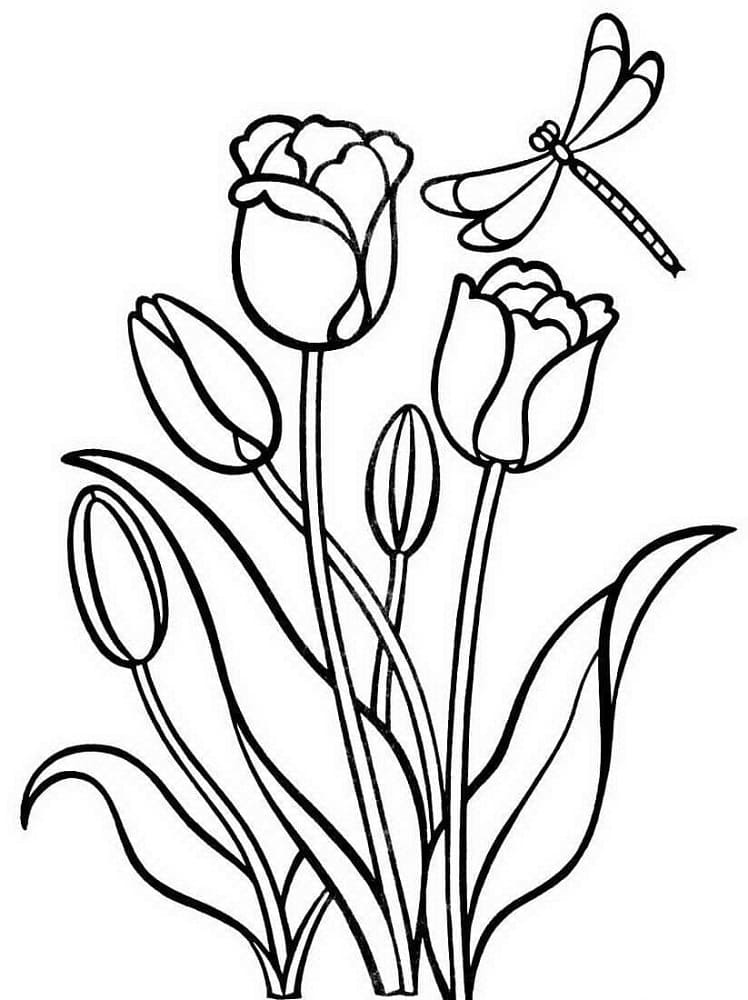 Tulips and Dragonfly coloring page