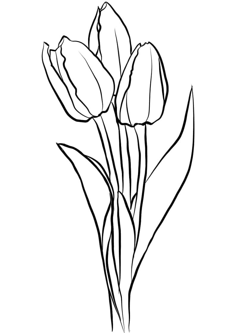 Tulips For Kids coloring page