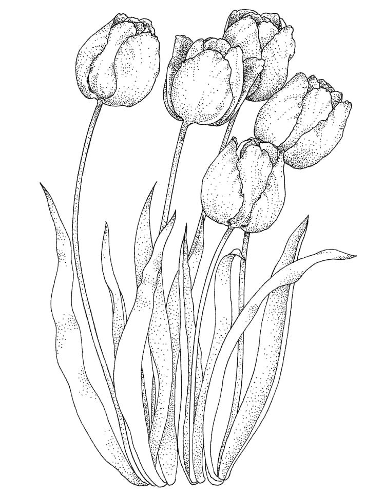 Tulips in the Garden coloring page