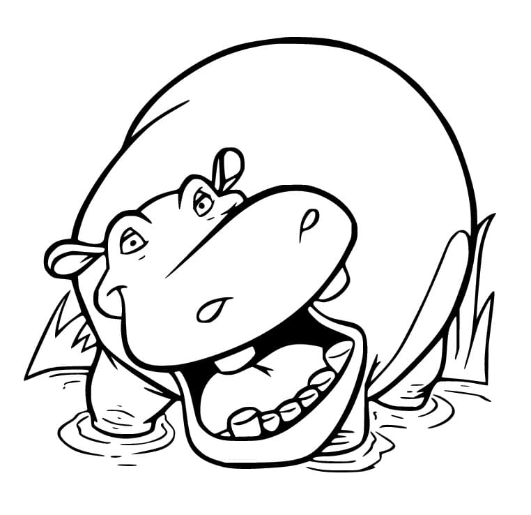 Very Funny Hippo coloring page