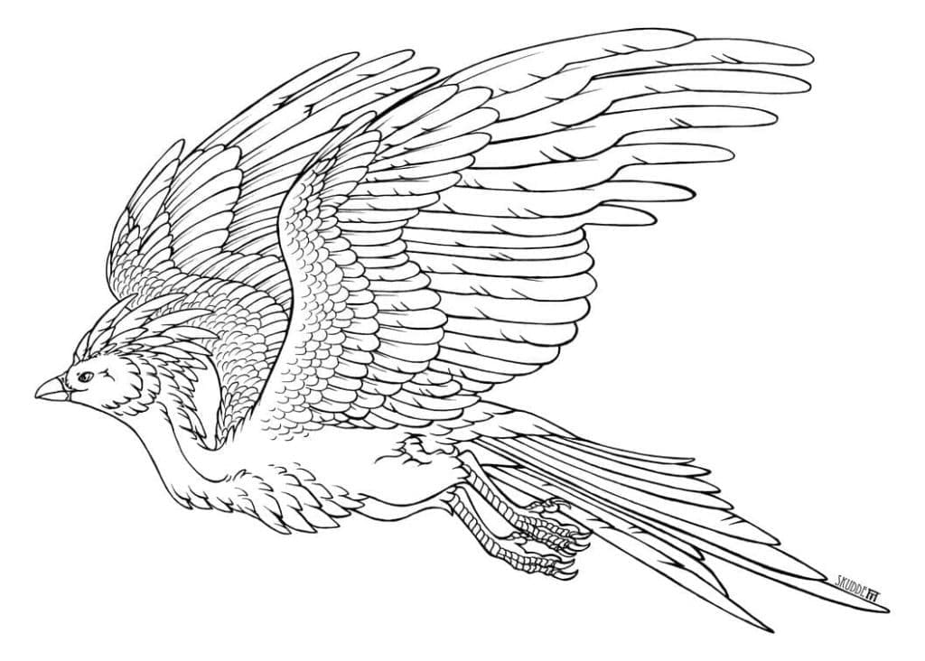 A Flying Phoenix coloring page