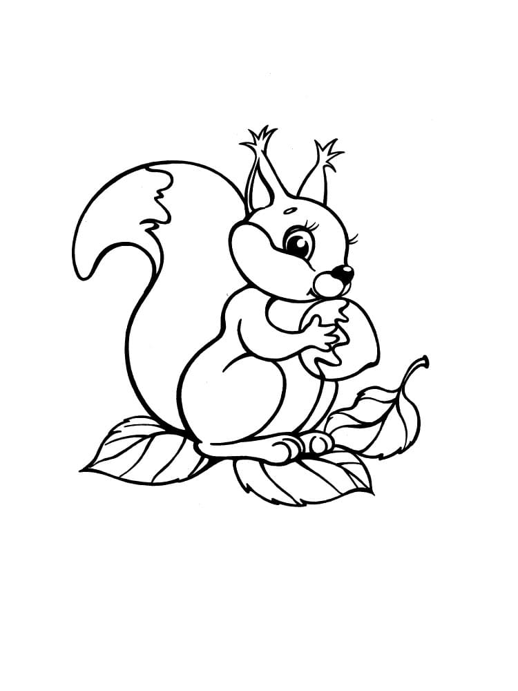 A Lovely Squirrel coloring page