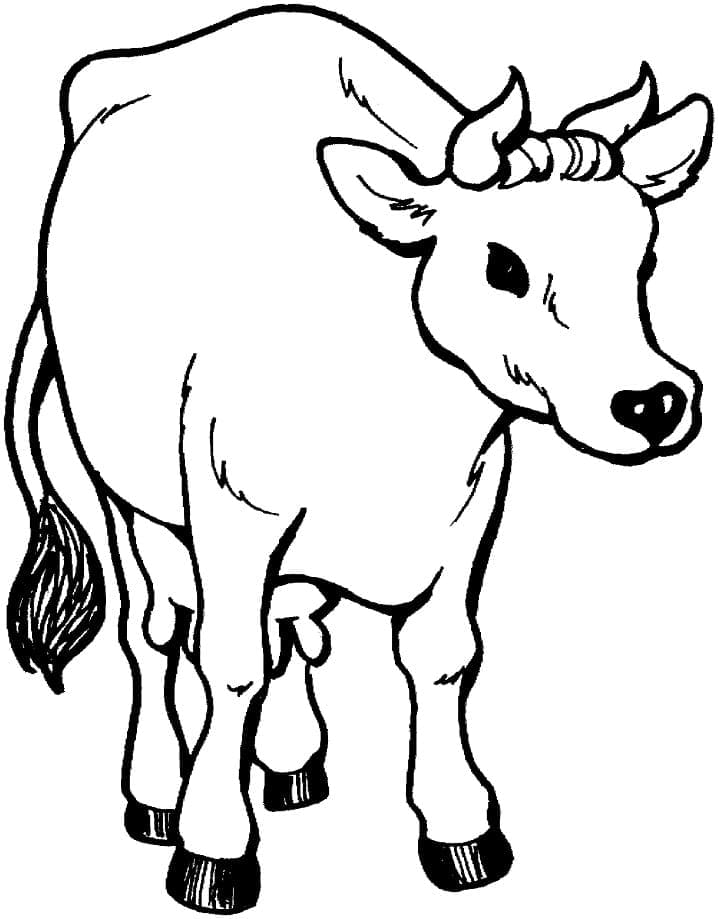 A Normal Cow coloring page