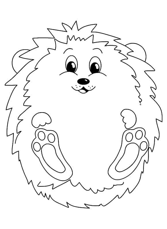 A Smiling Hedgehog coloring page