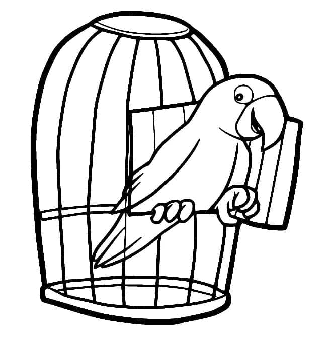 A Smiling Parrot coloring page