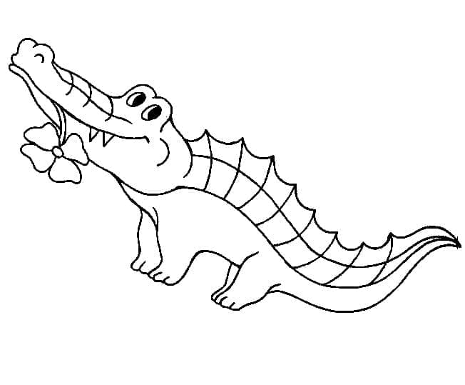 Adorable Alligator coloring page