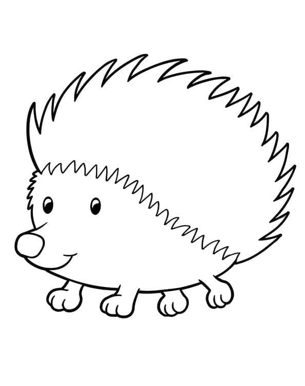 Adorable Hedgehog coloring page - Download, Print or Color Online for Free