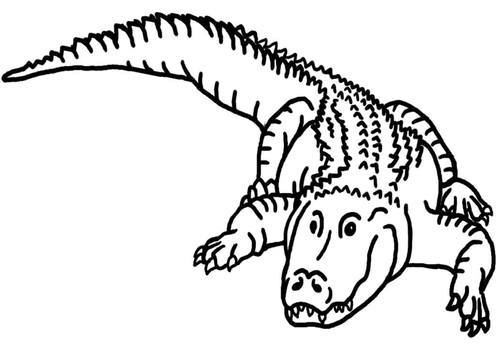 Alligator Free For Kids coloring page