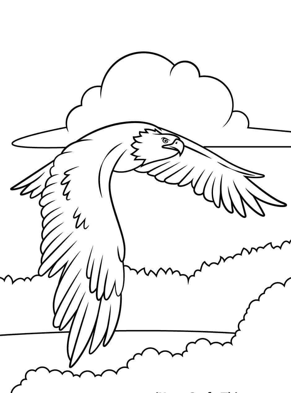 Amazing Eagle coloring page