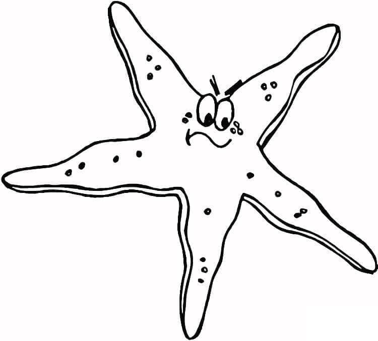 An Angry Starfish