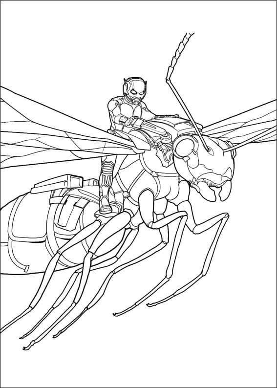 Ant Man Image coloring page