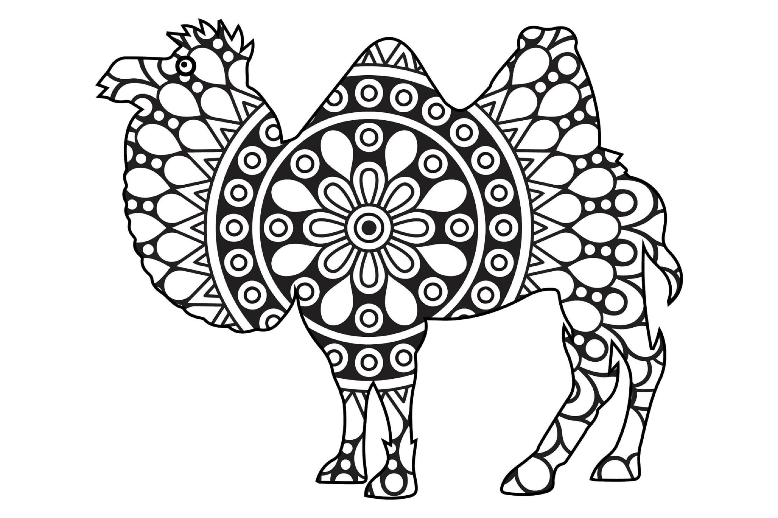 Basic Camel Mandala coloring page - Download, Print or Color Online for