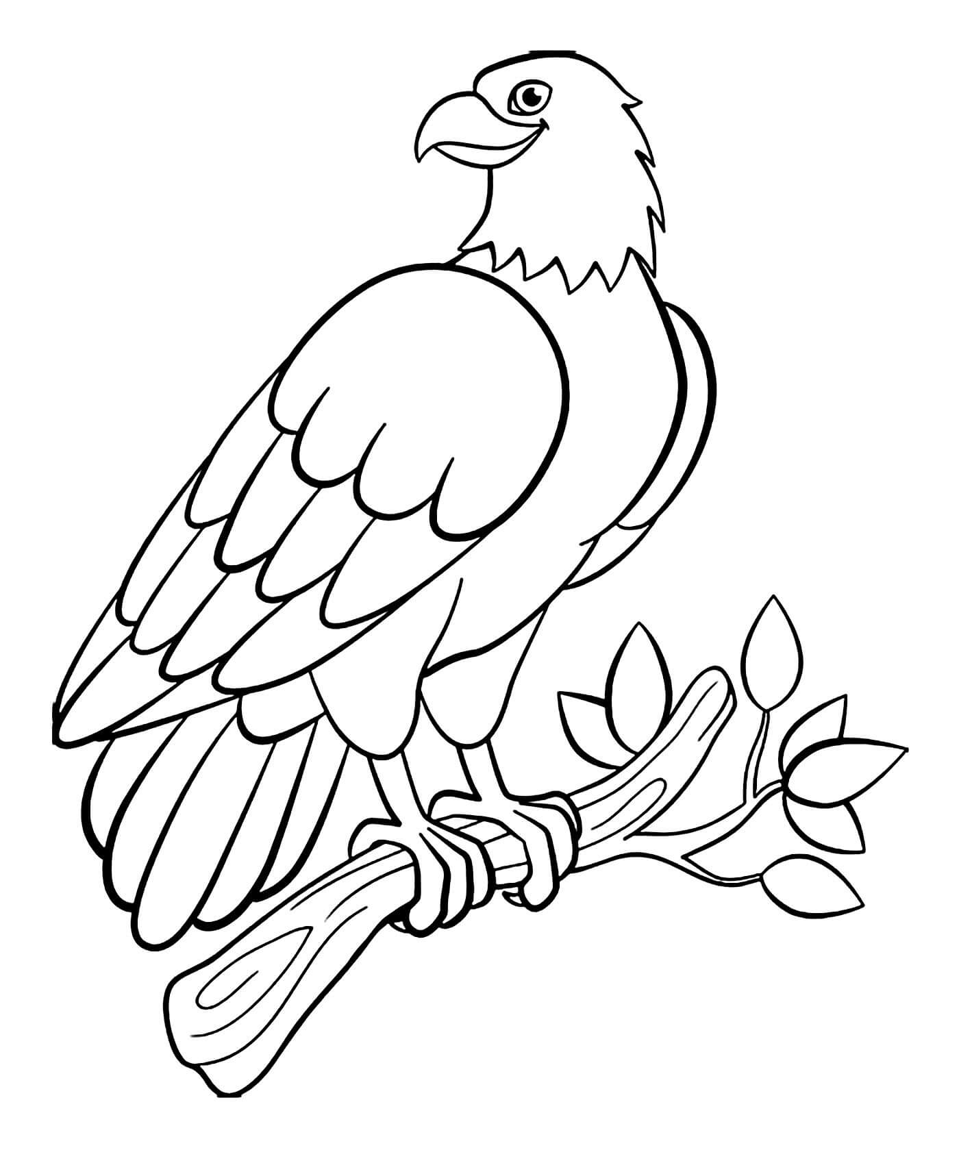 Basic Eagle coloring page