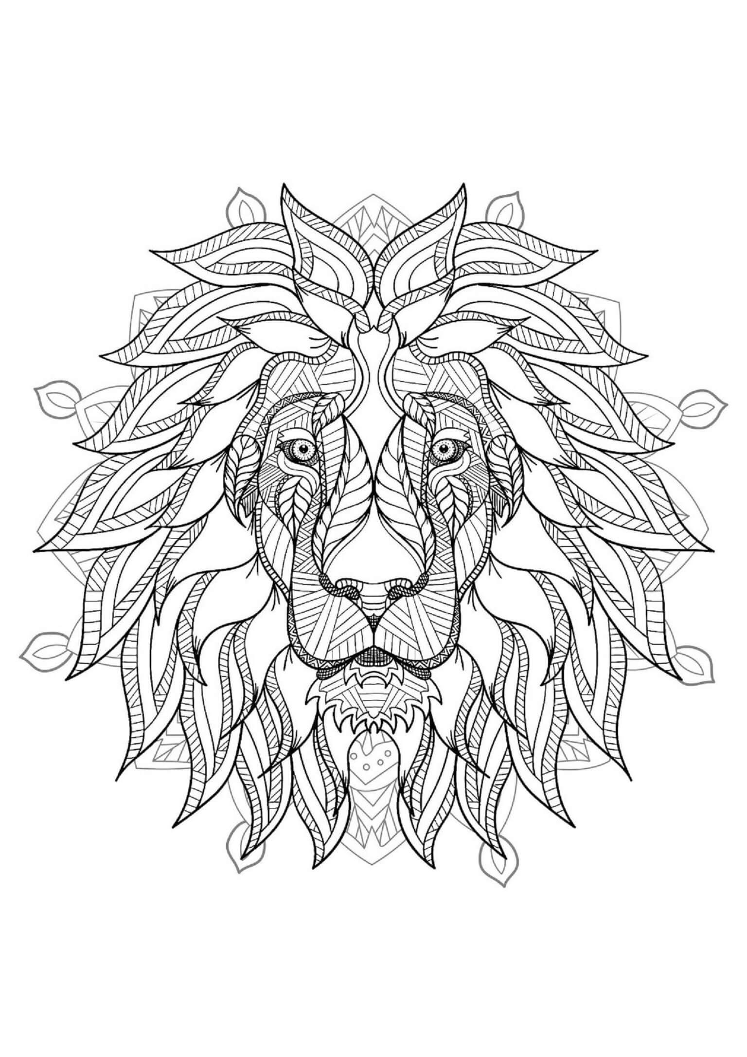 Lion Coloring Book Page Instant Download 