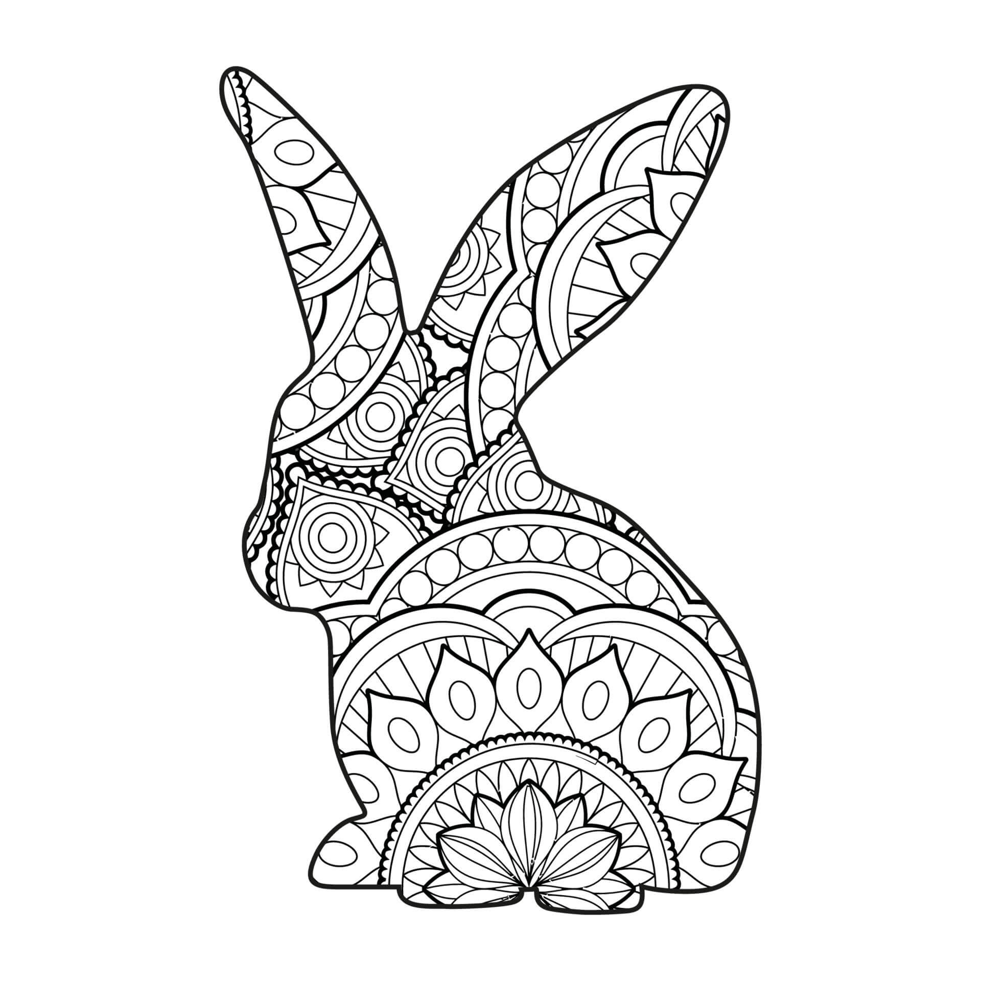 Rabbit Coloring Book: Adult Coloring Books for Rabbit Owner, Best Gift for  Bunny Lovers, Animal Coloring Book, Floral Mandala Coloring Pages  (Paperback)