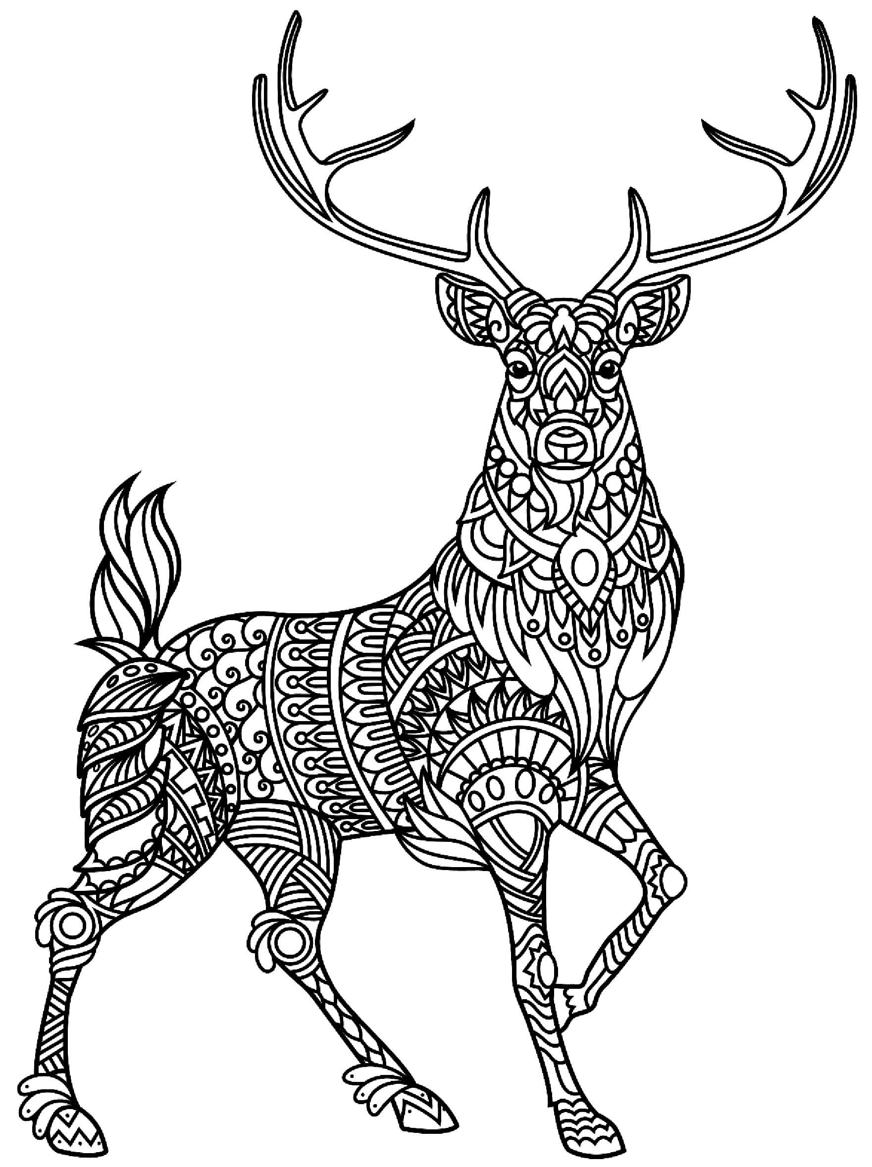 Beautiful Deer Mandala coloring page