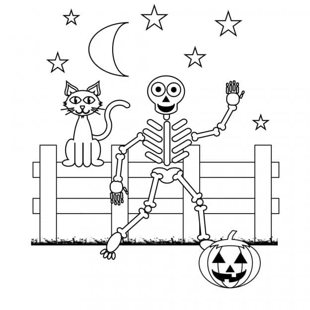 Black Cat and Skeleton