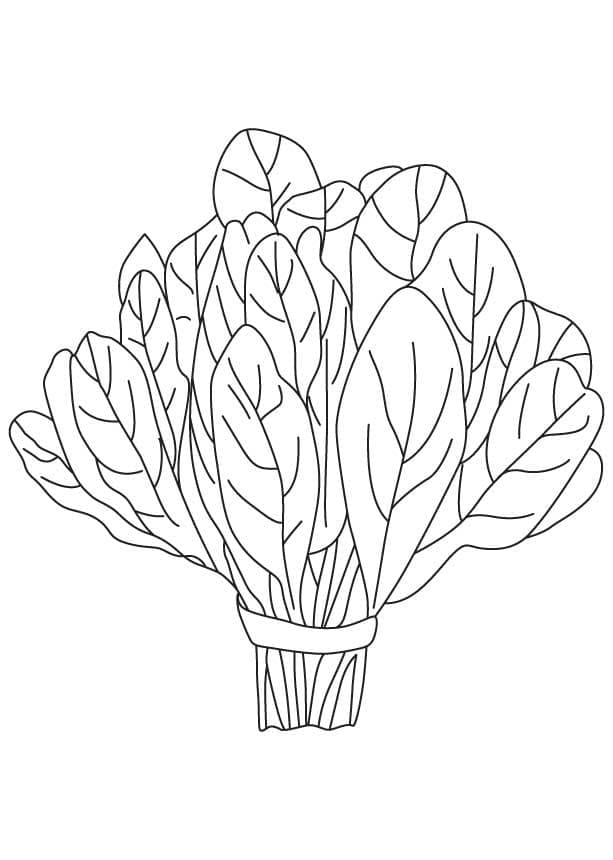 Bunch of Spinach coloring page - Download, Print or Color Online for Free