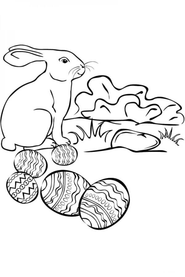 Bunny Hides Chocolate Eggs in the Grass And Under The Bushes coloring page