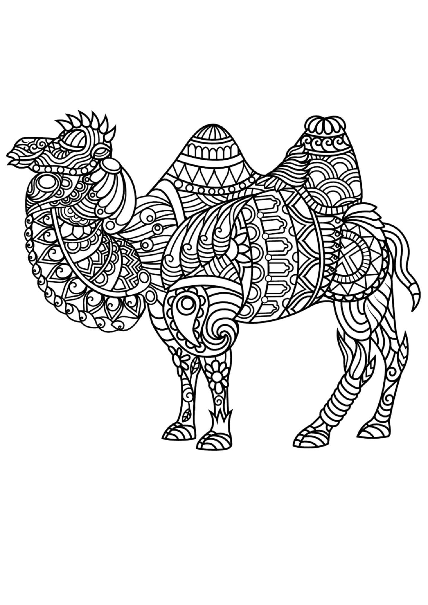 Camel Standing Mandala coloring page