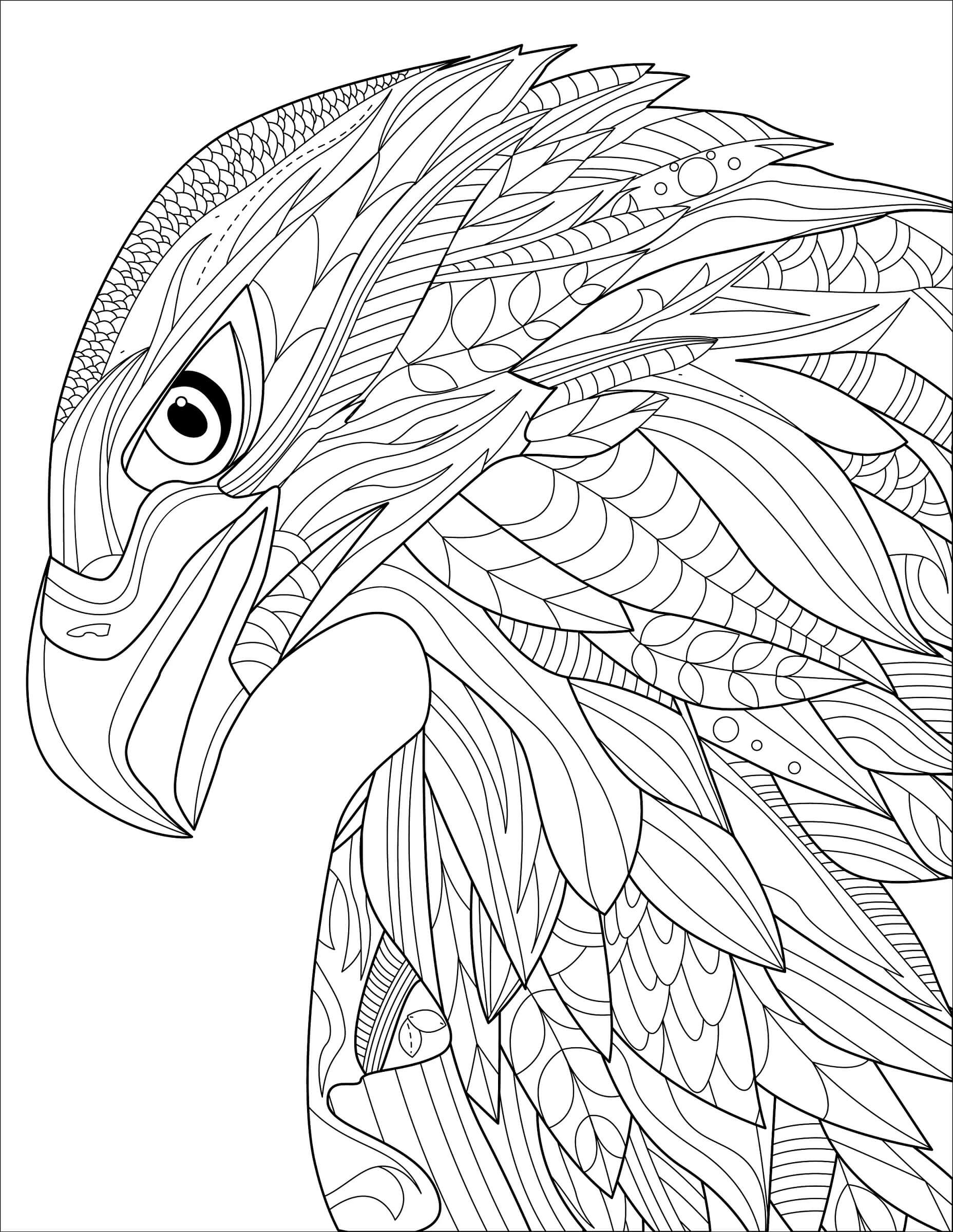 Cool Eagle Head Mandala coloring page