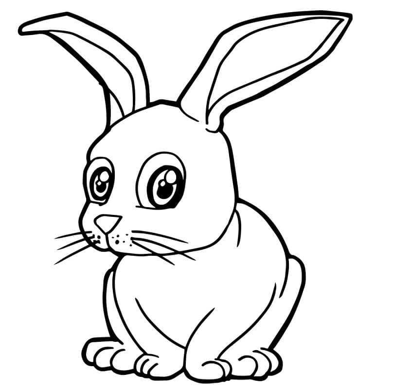 Curious Rabbit coloring page