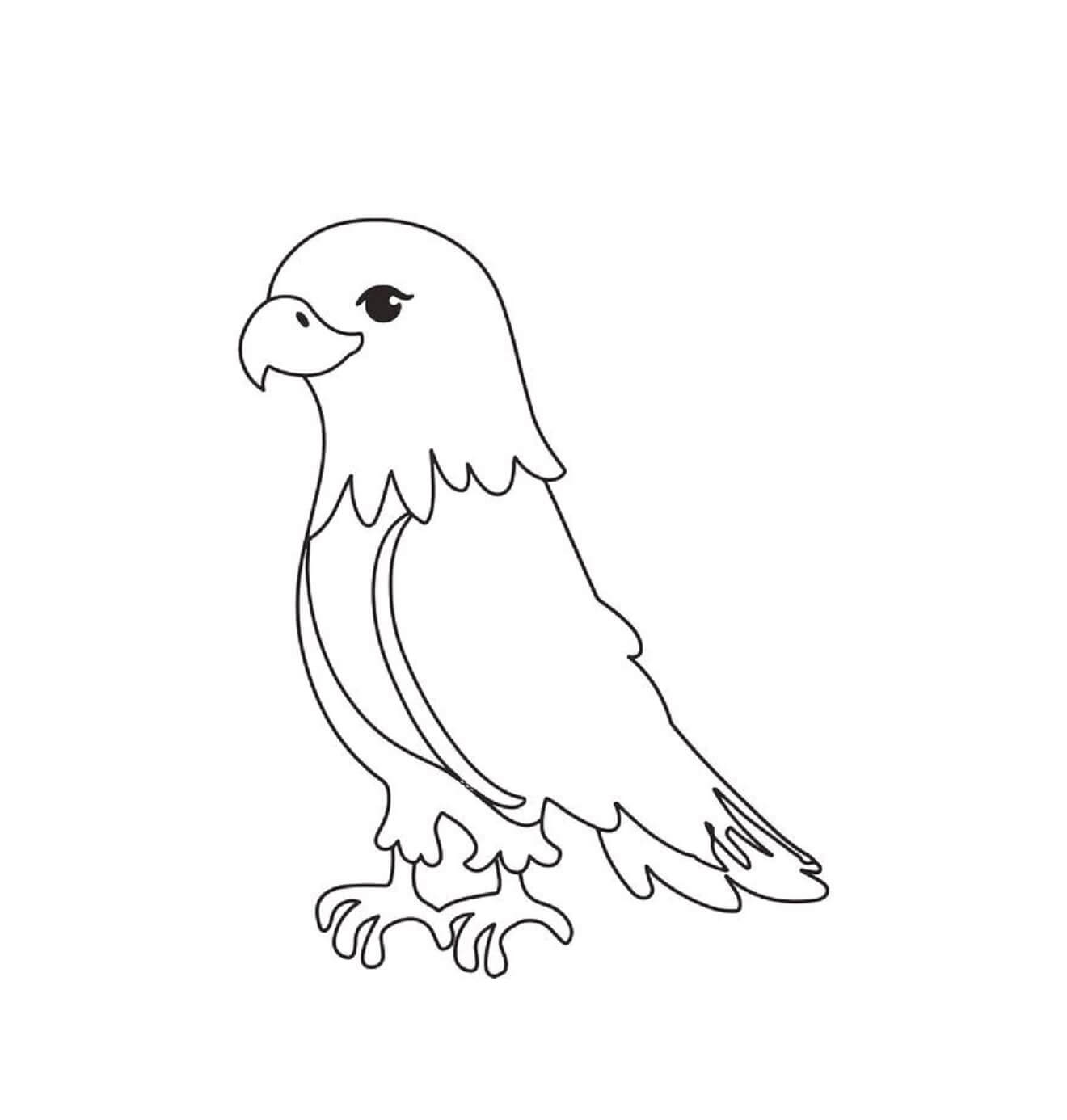 Cute Little Eagle coloring page