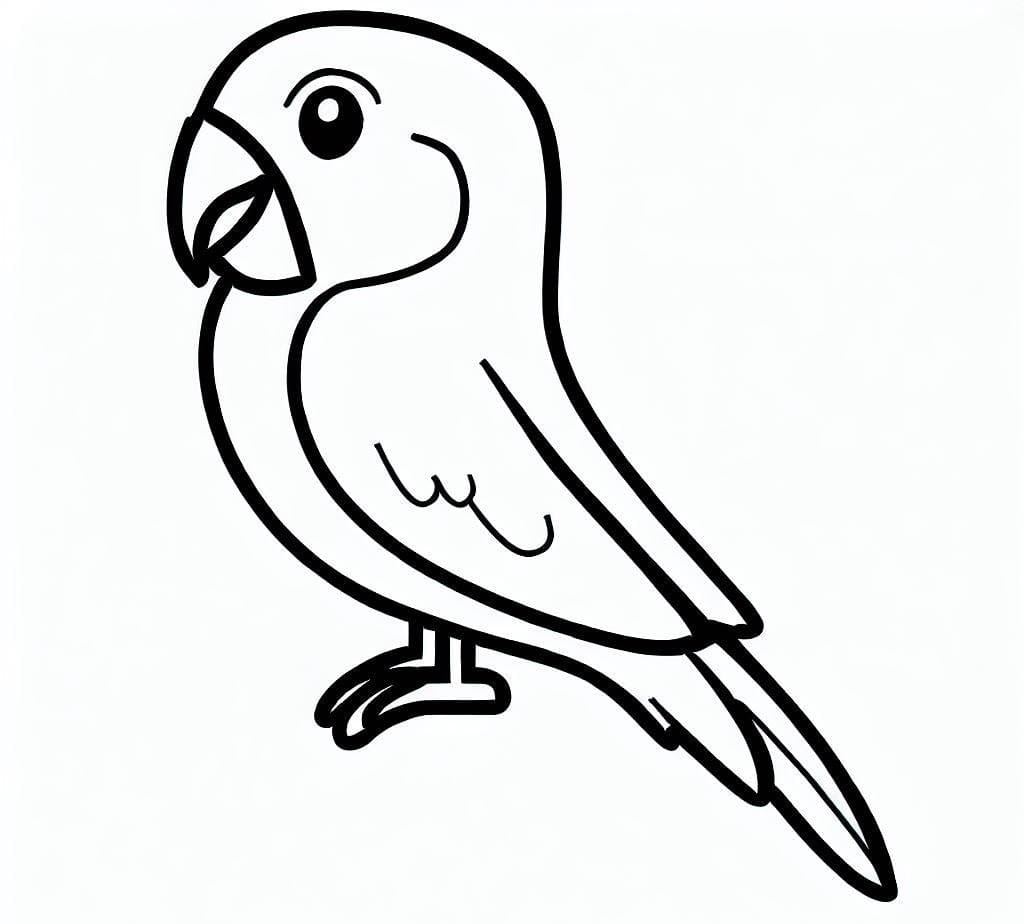 Parrot Drawing stock illustration. Illustration of vibrant - 76416867