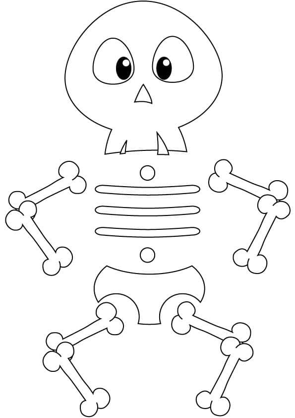 Cute Skeleton