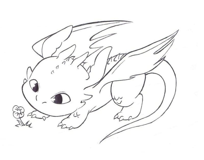 Cute Toothless and A Flower coloring page - Download, Print or Color ...