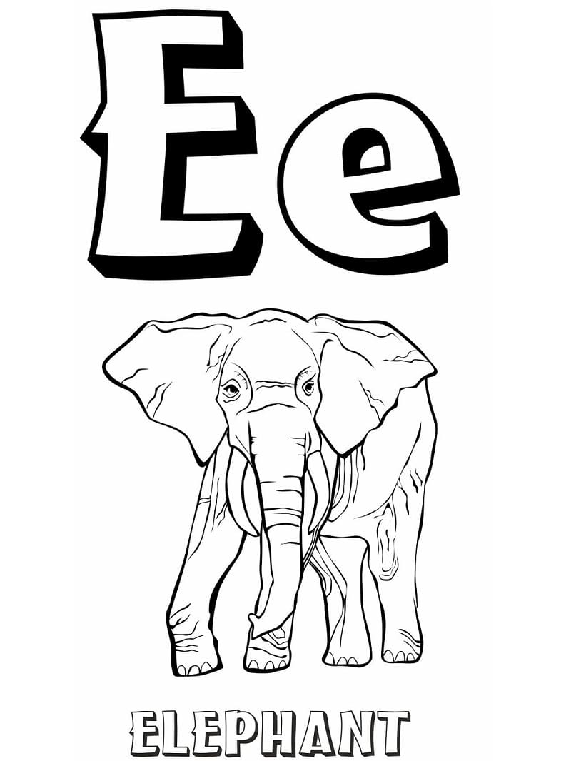 Elephant and Letter E