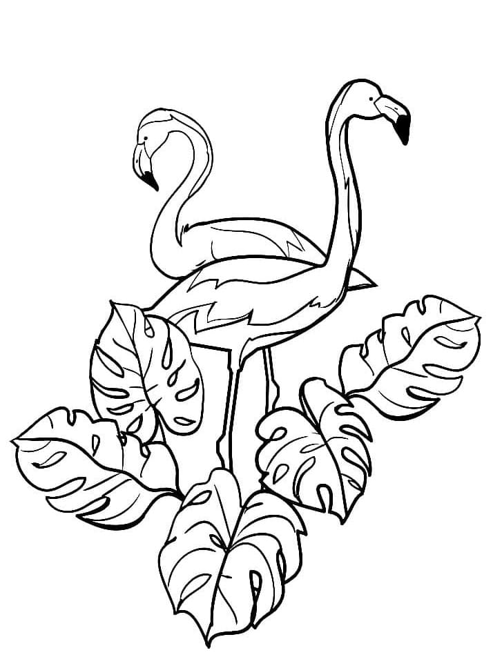 Flamingos and Leaves coloring page - Download, Print or Color Online ...