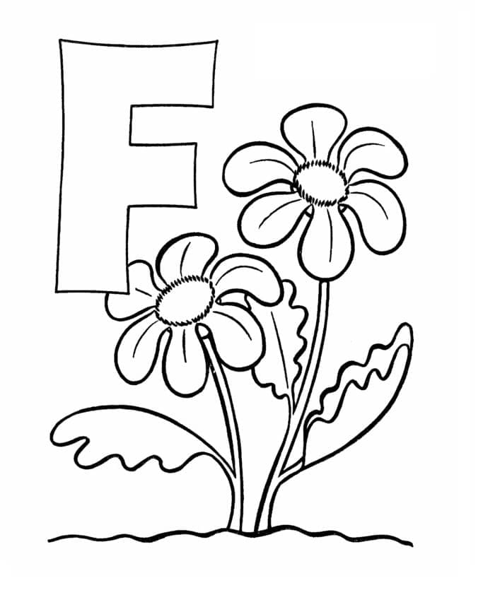 Flowers and Letter F