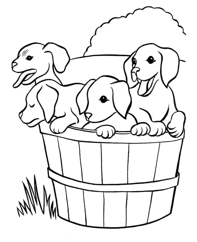 Four Puppies coloring page