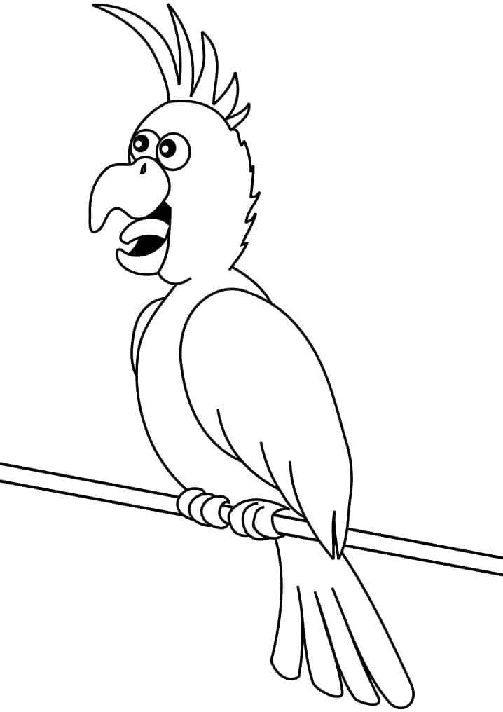 Free Printable Parrot