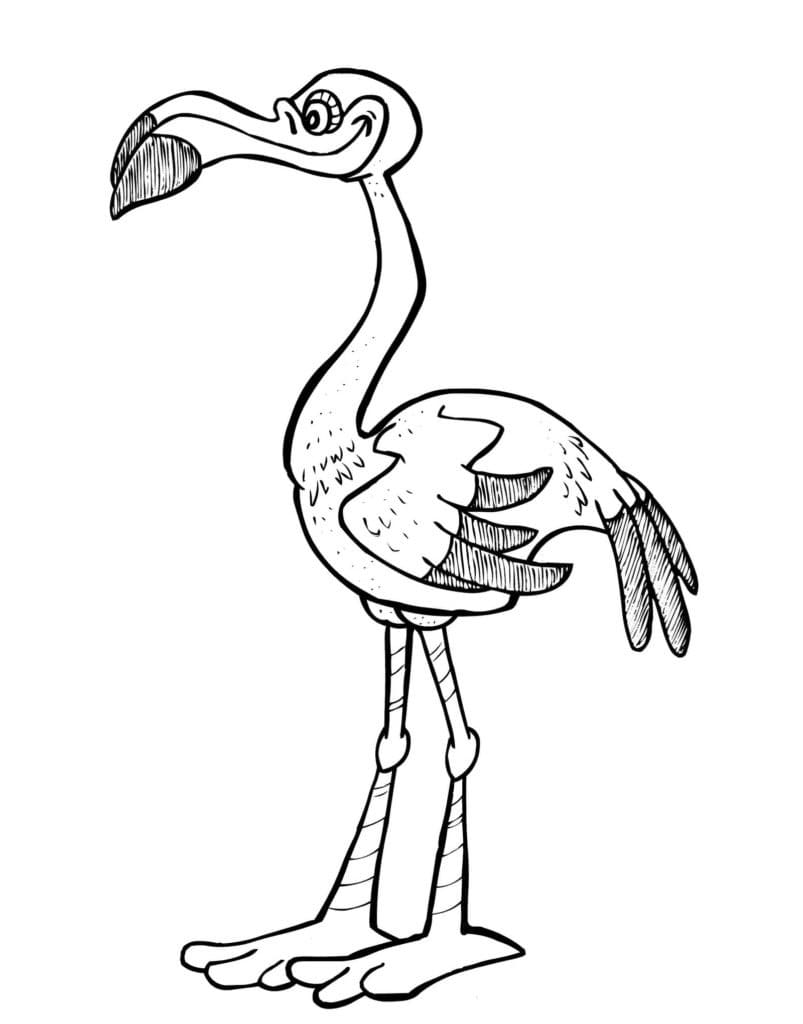 Funny Flamingo