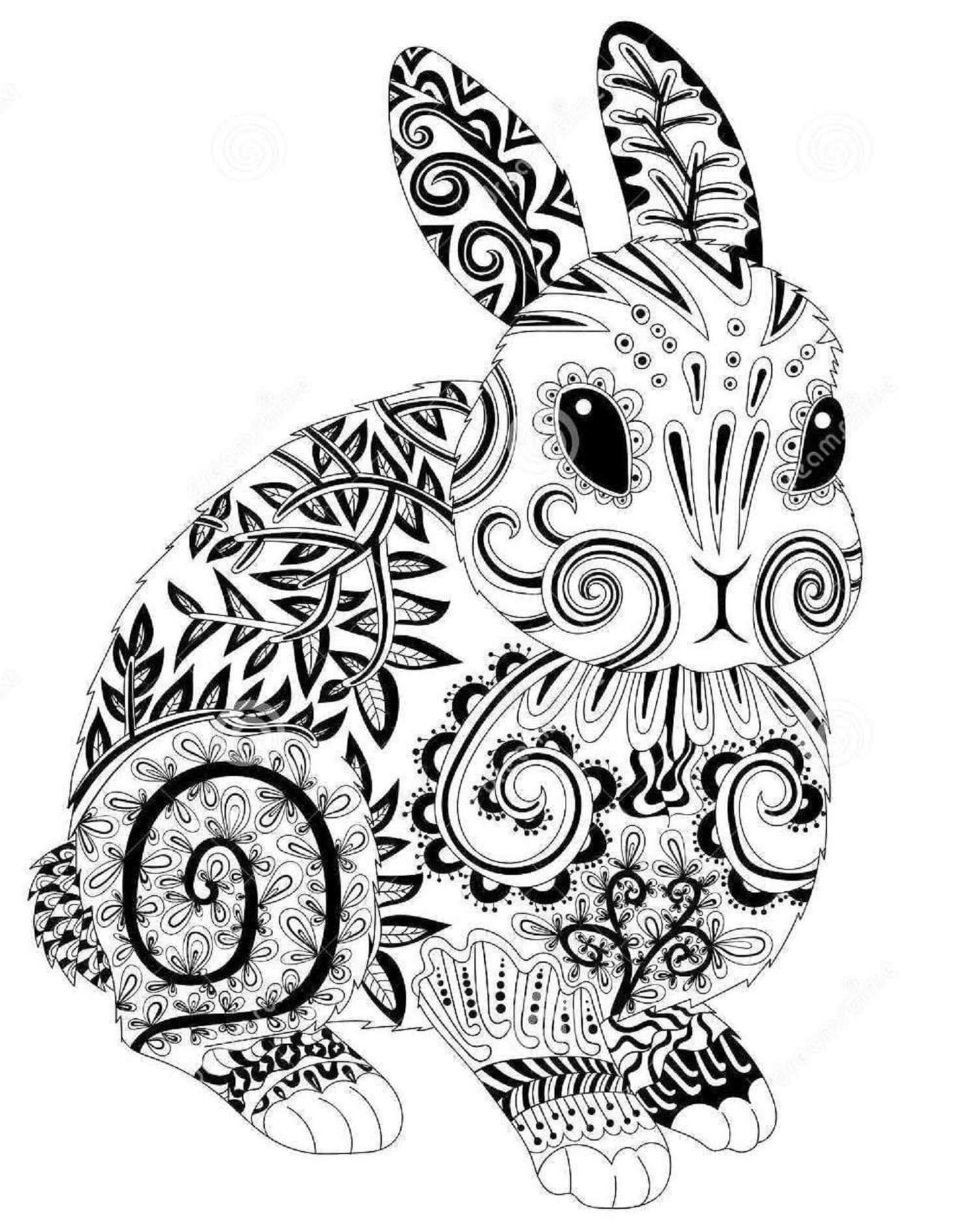 Rabbit Mandala coloring pages