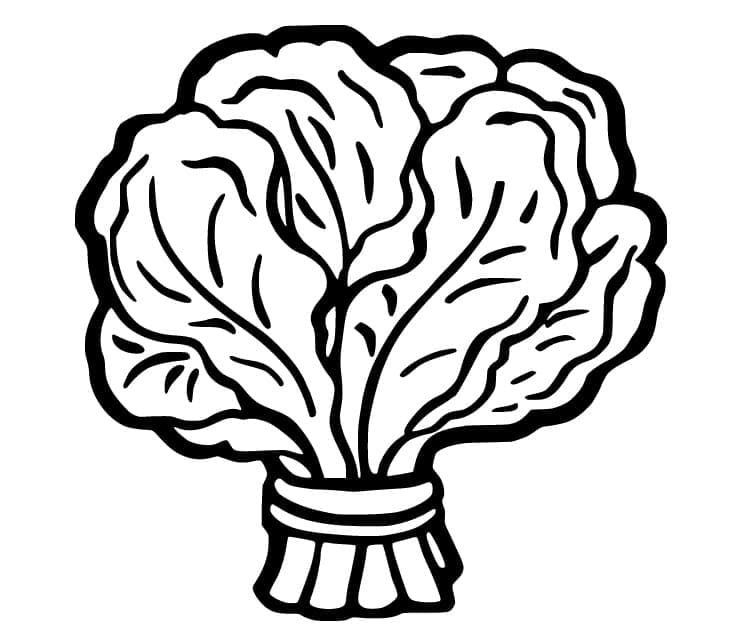 Good Spinach coloring page - Download, Print or Color Online for Free
