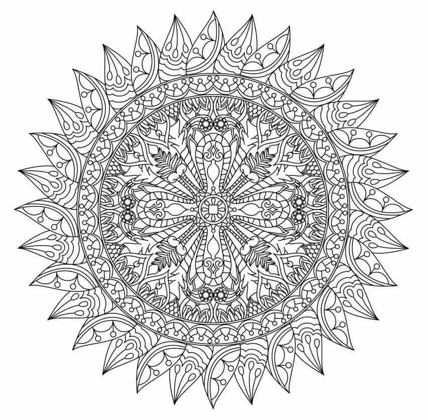 Great Fruits in Summer Mandala